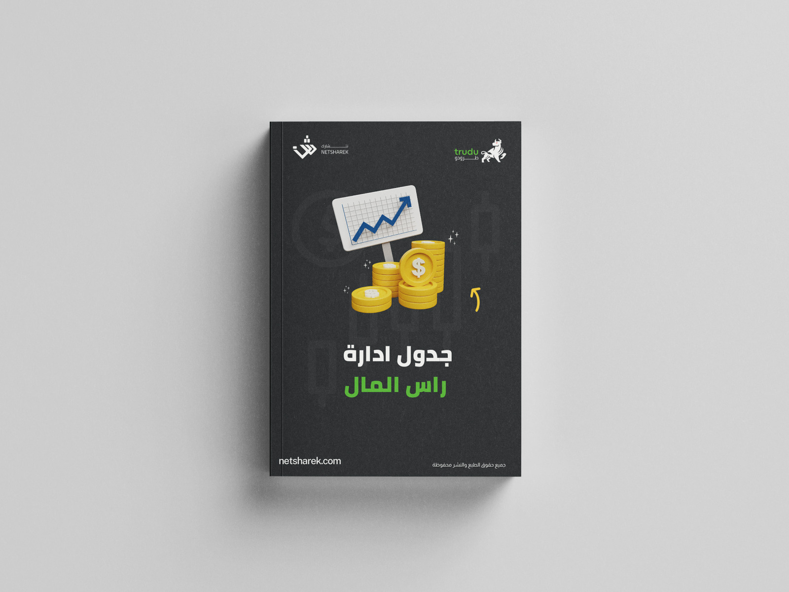 جدول إدارة رأس المال